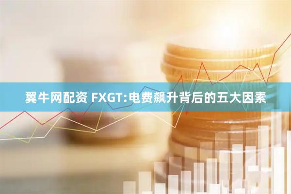 翼牛网配资 FXGT:电费飙升背后的五大因素