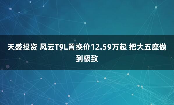 天盛投资 风云T9L置换价12.59万起 把大五座做到极致