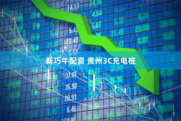新巧牛配资 贵州3C充电桩
