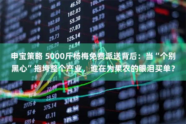 申宝策略 5000斤杨梅免费派送背后：当“个别黑心”拖垮整个产业，谁在为果农的眼泪买单？