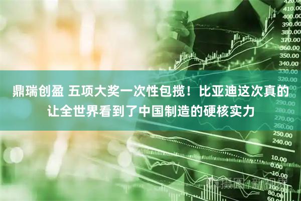 鼎瑞创盈 五项大奖一次性包揽!比亚迪这次真的让全世界看到了中国制造的硬核实力